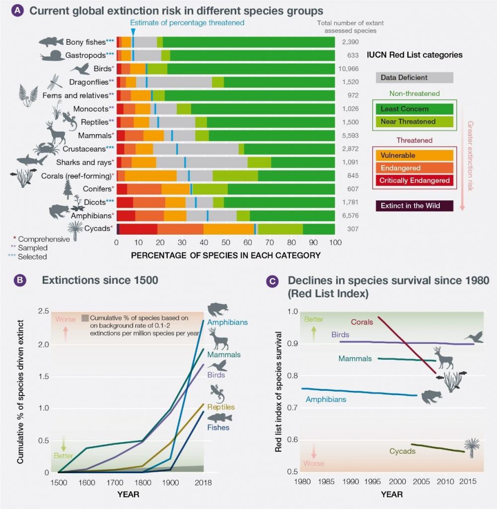 UN Biodiversity Report classification of species and risk thereto