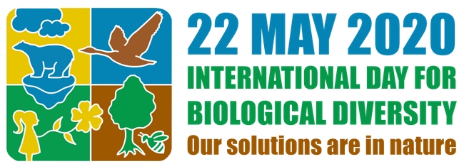 International Day for Biological Diversity 2020