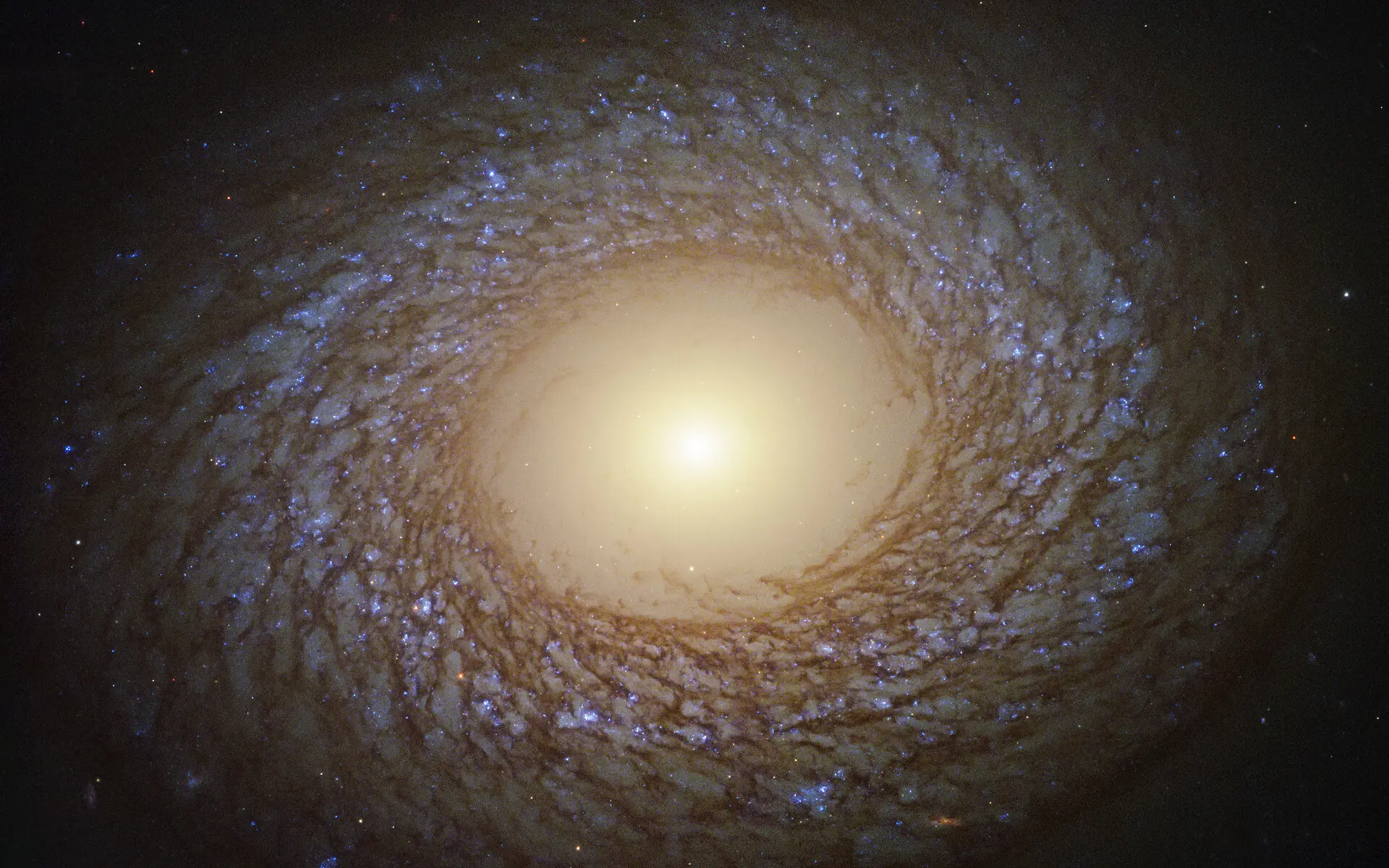 NGC 2775
