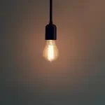 bulb of light