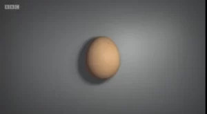 Do eggs contain the secrets of the Universe?