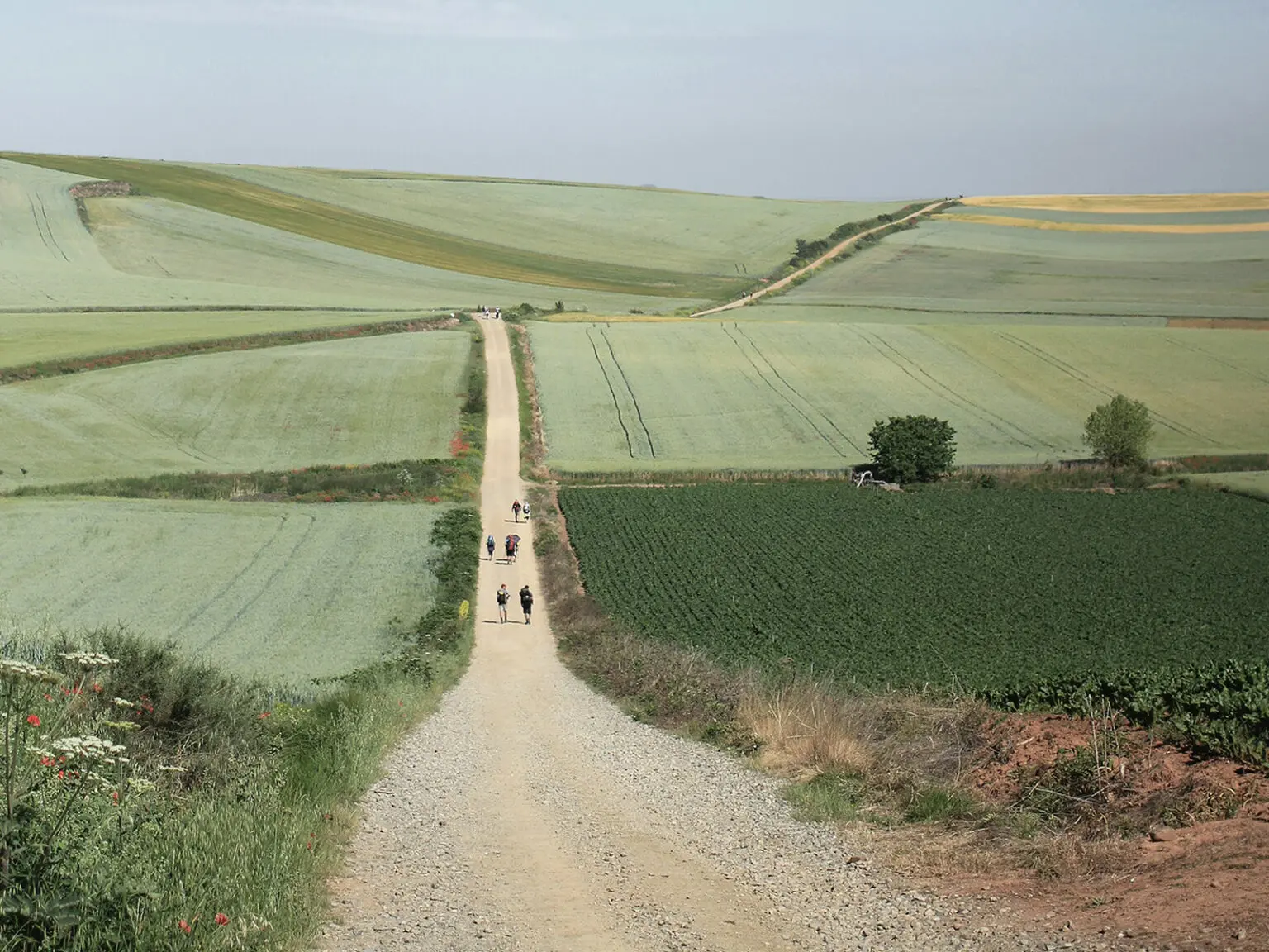  Pilgrims along the Camino de Santiago 