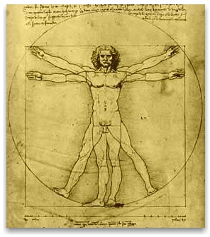 vitruvian man